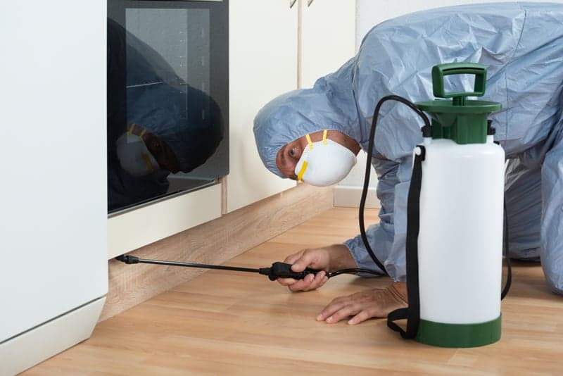 Pest control technician treating a home